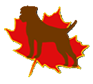 BTC logo